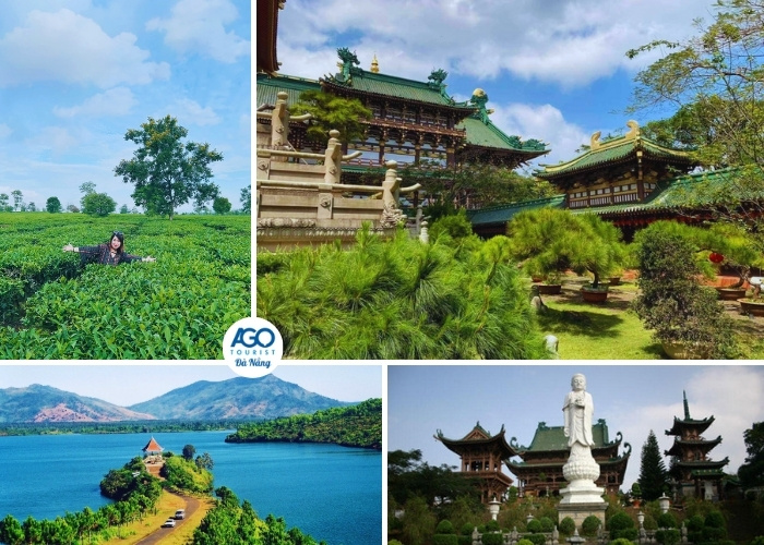 Đến tham quan Biển Hồ T’Nưng, Đồi chè Biển Hồ và chùa Minh Thành trong tour Đà Nẵng đi Tây Nguyên